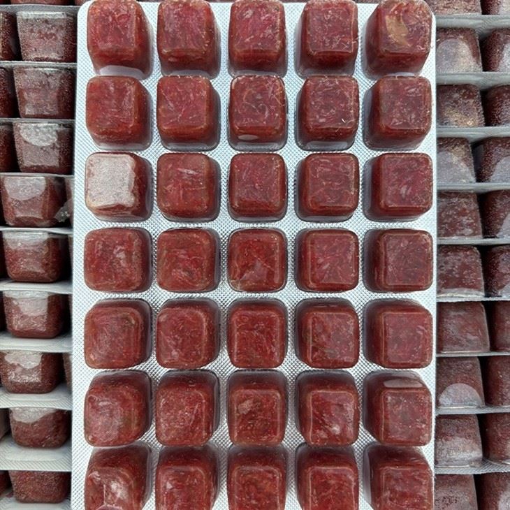 Wholesale Frozen Bloodworms Wholesale Frozen Bloodworms