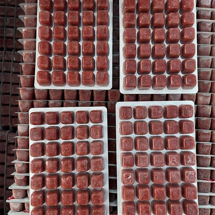 Wholesale Frozen Bloodworms Wholesale Frozen Bloodworms