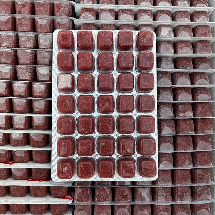 Wholesale Frozen Bloodworms Wholesale Frozen Bloodworms